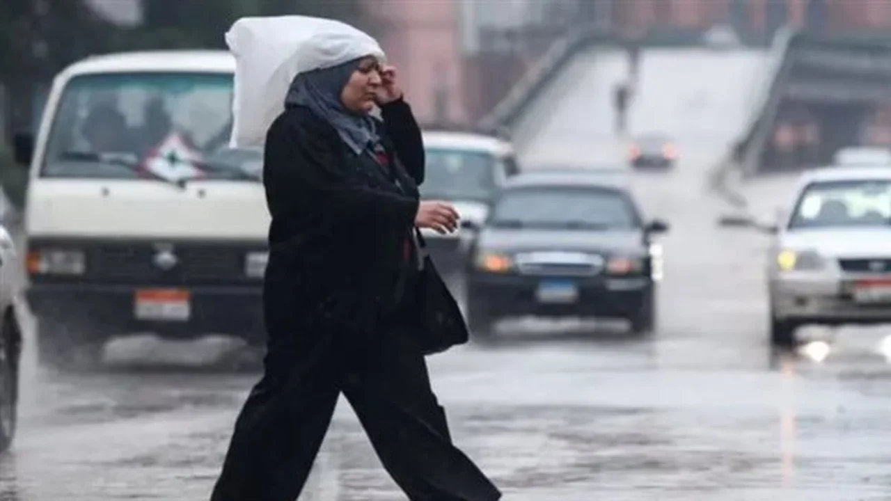 توقعات طقس «القاهرة 25»: برودة تسيطر على الأنحاء وفرص أمطار ببعض المناطق